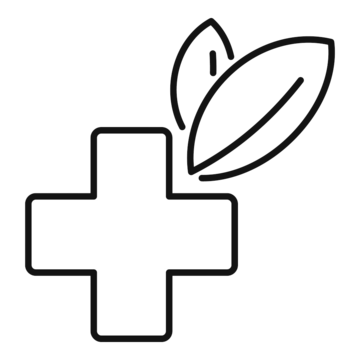 pngtree homeopathy cross eco icon png image_5004093